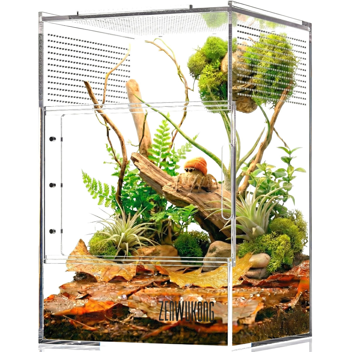 ZENWUKONG terrarium 6x6x9 portes magnétiques pour un accès rapide à l'alimentation.