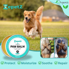 Application facile sur les pattes avec ZepetZ.
