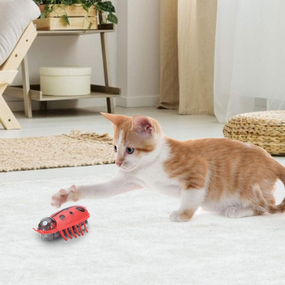 Jouet Zerodis pour chat, sept couleurs, stimulation visuelle amusante.