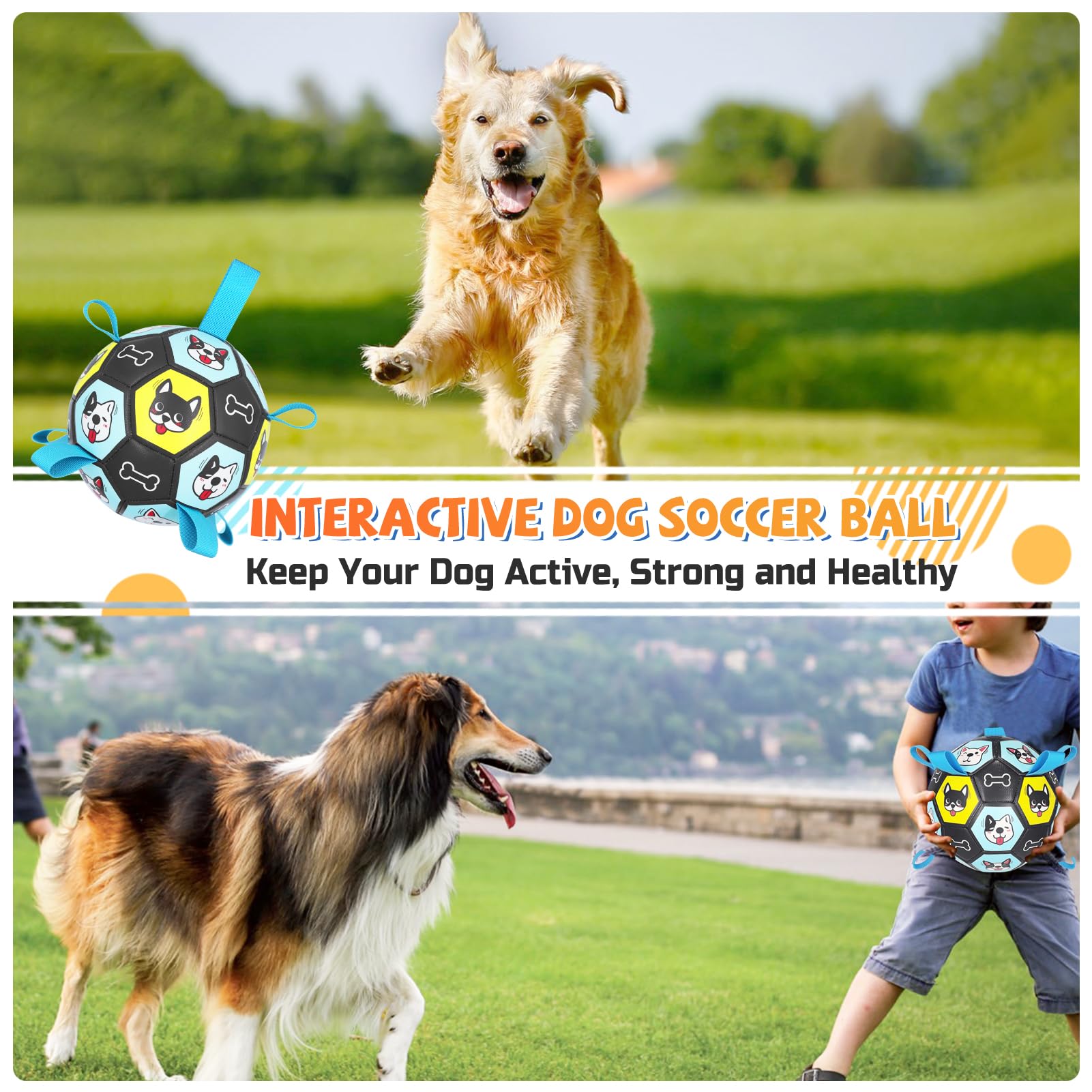 ZestPulse Jouet-interactif-chien-rapporte, parfait pour l'exercice en plein air.