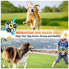 ZestPulse Jouet-interactif-chien-rapporte, parfait pour l'exercice en plein air.