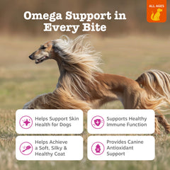 Zesty Paws articulations chien Omega-3: amélioration potentielle de la mobilité et du confort.