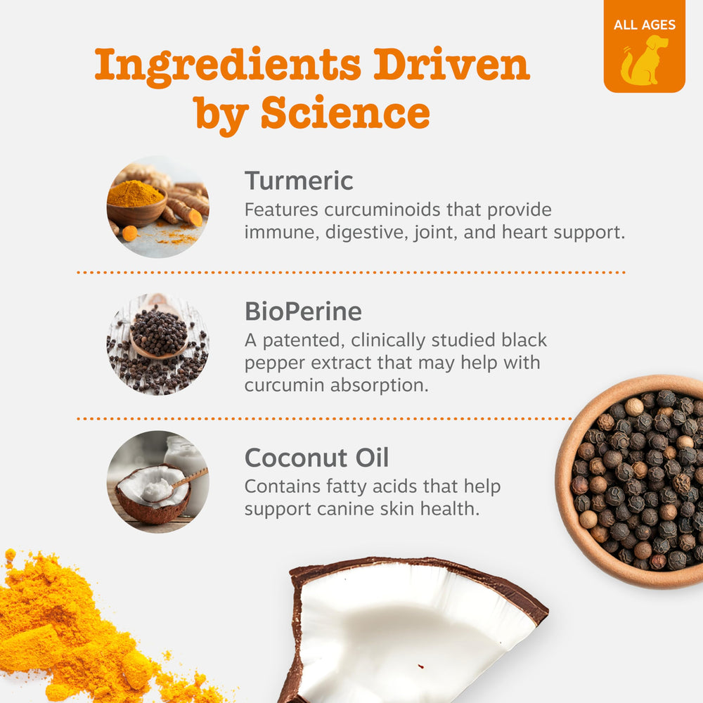 Étiquette Zesty Paws Turmeric Curcumin – forte concentration de curcuminoïdes.