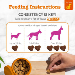 Zesty Paws Mussel Mobility Bites, saveur poulet, plait même aux chiens exigeants.