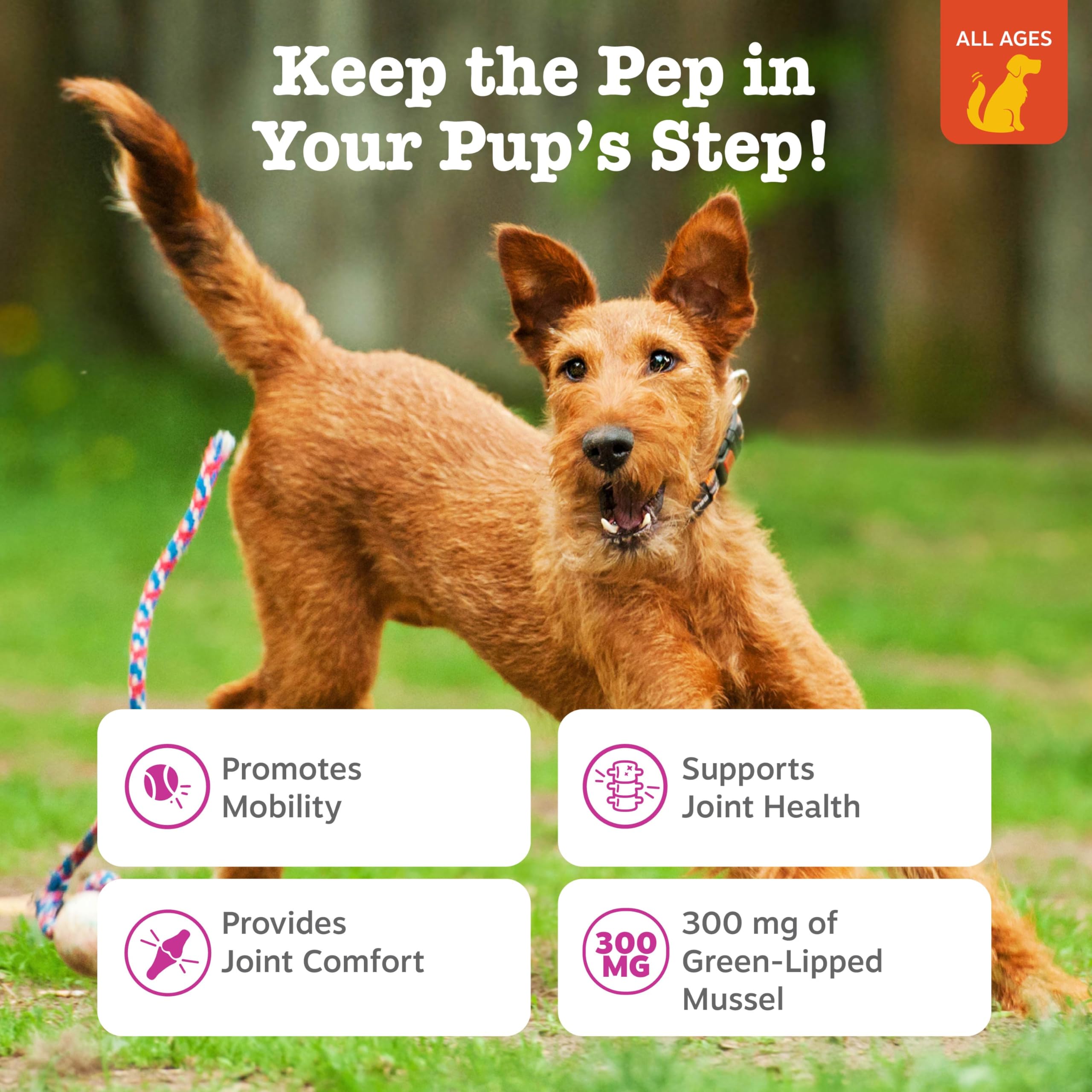 Zesty Paws Mussel Mobility Bites, bouchées pour articulations canines, facile à doser.