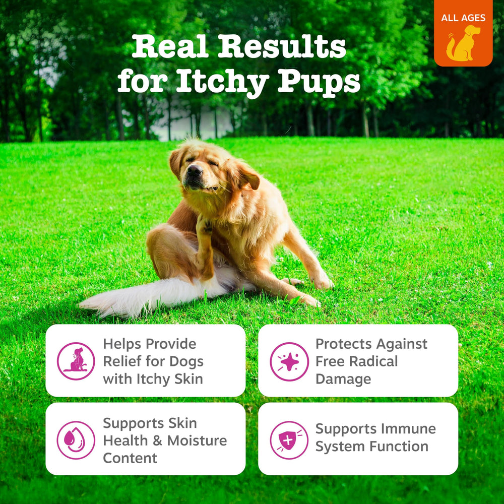 Zesty Paws bouchées poulet – croquantes et savoureuses pour chien