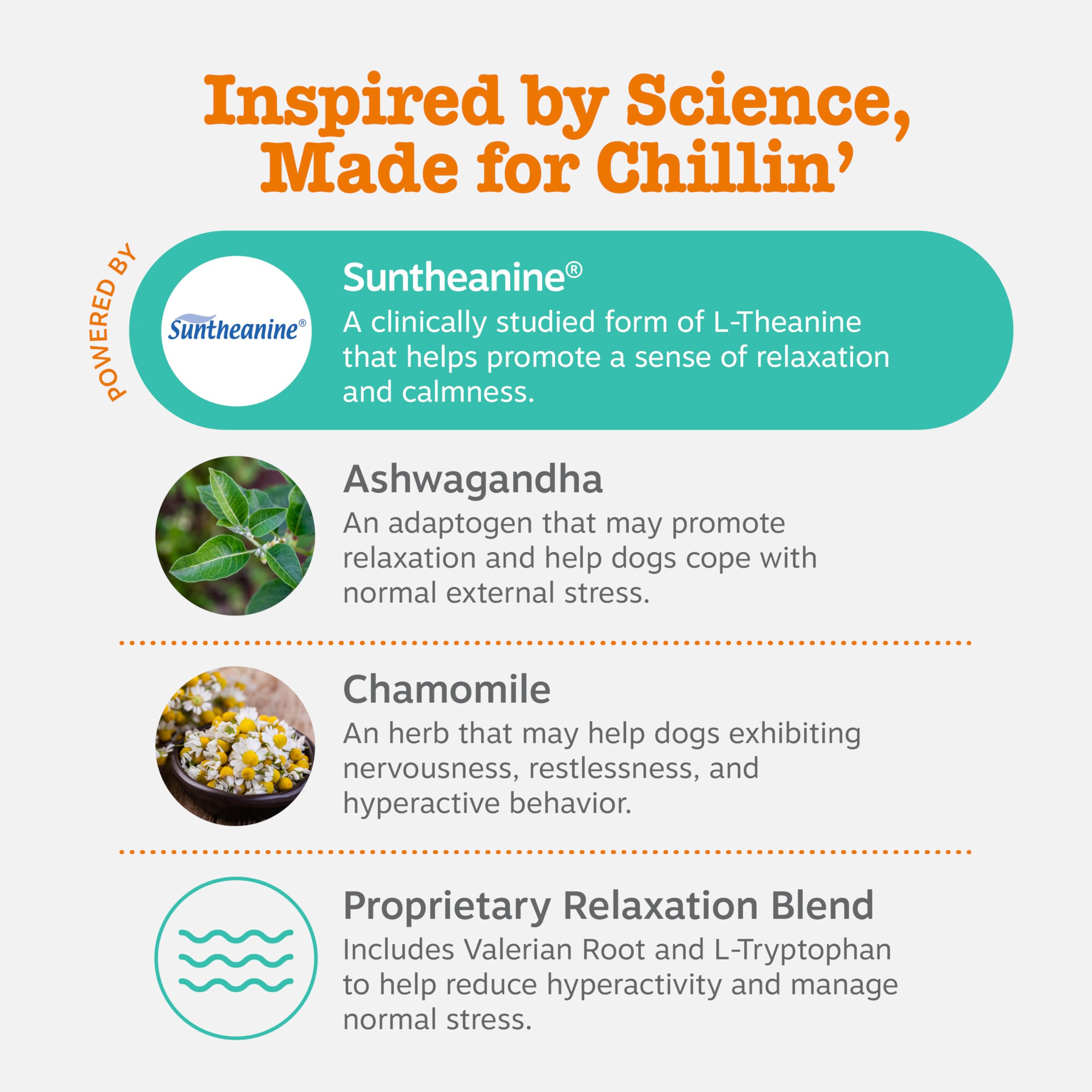 Zesty Paws Calming Chews – Ashwagandha Sensoril pour aider les chiots face au stress