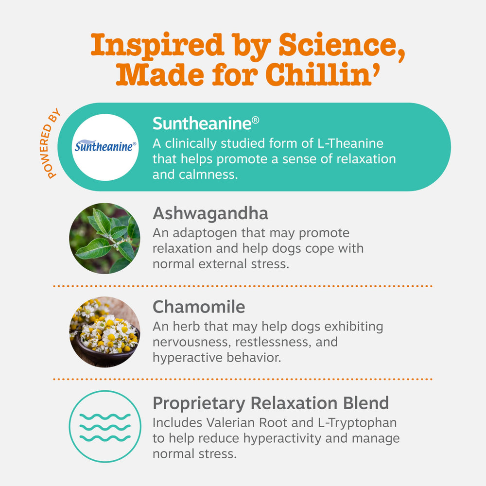 Zesty Paws Calming Chews – Ashwagandha Sensoril pour aider les chiots face au stress