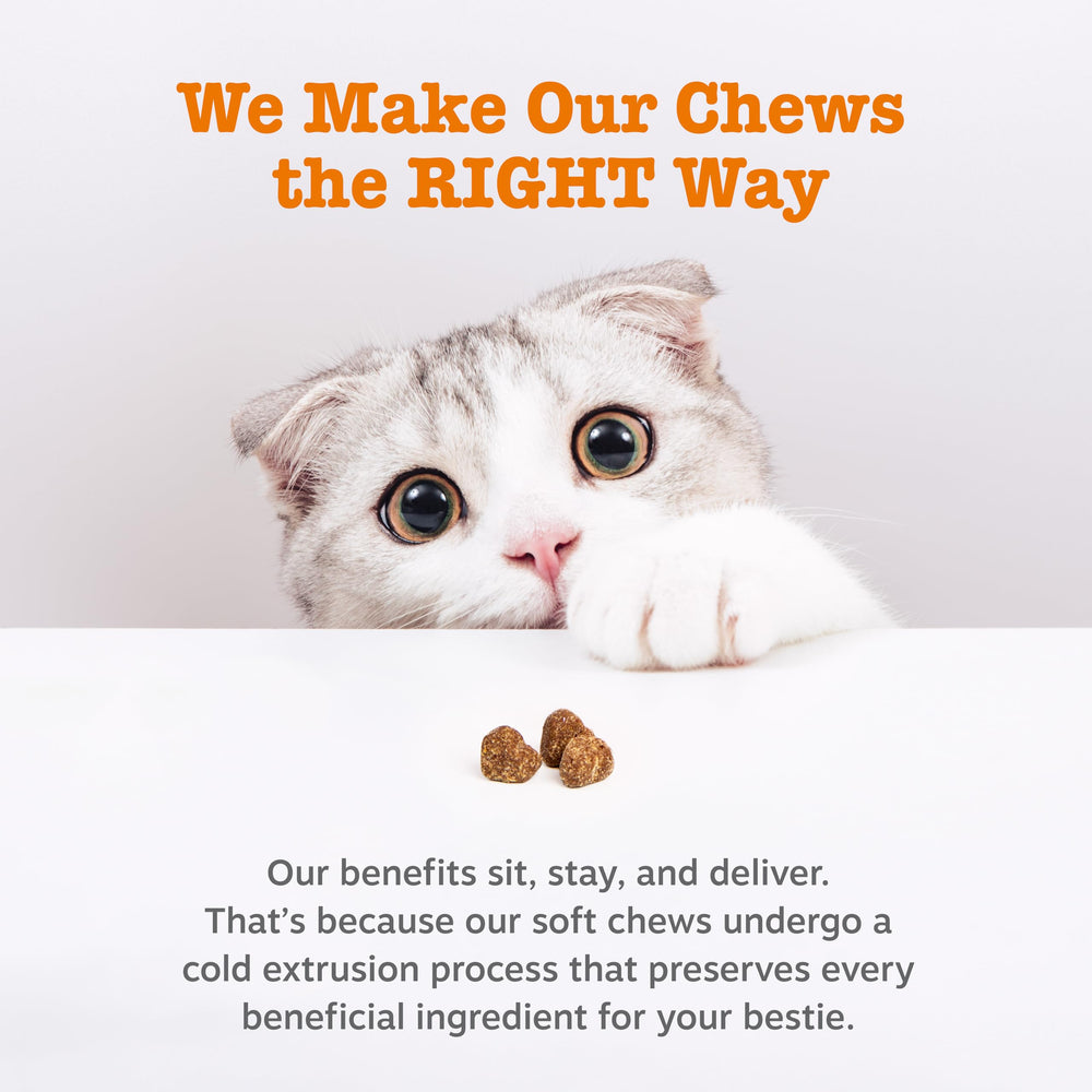 Bouchée Zesty Paws chat – L-Theanine et L-Tryptophane pour relaxation légère.