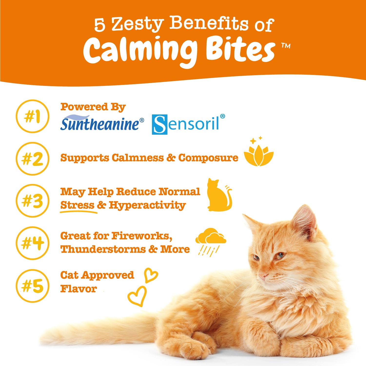 Bouchée Zesty Paws chat avec Suntheanine pour relaxation potentielle.