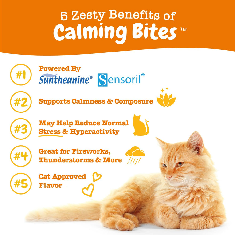 Bouchée Zesty Paws chat avec Suntheanine pour relaxation potentielle.