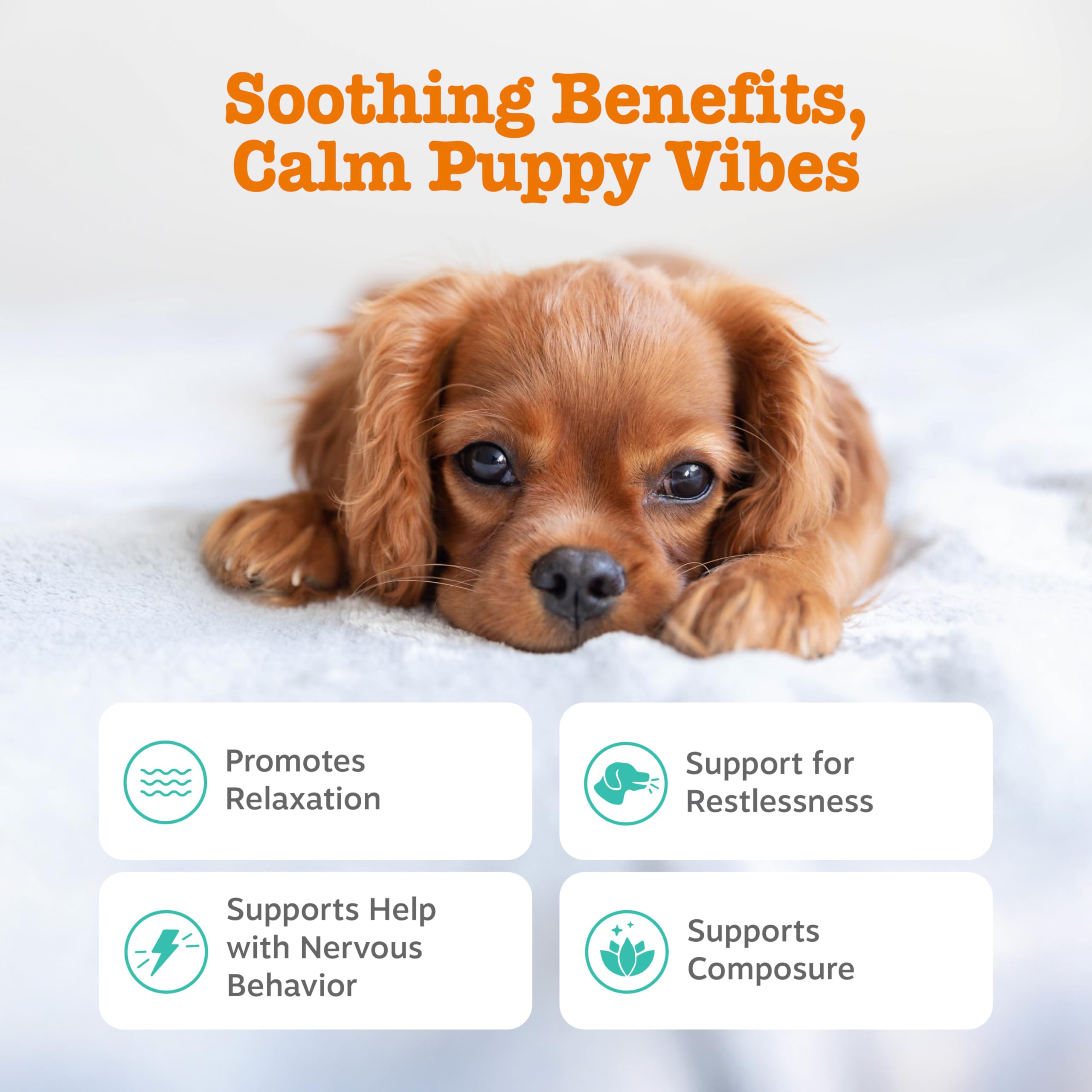 Zesty Paws Calming Chews – ingrédients Suntheanine pour relaxation potentielle des chiots