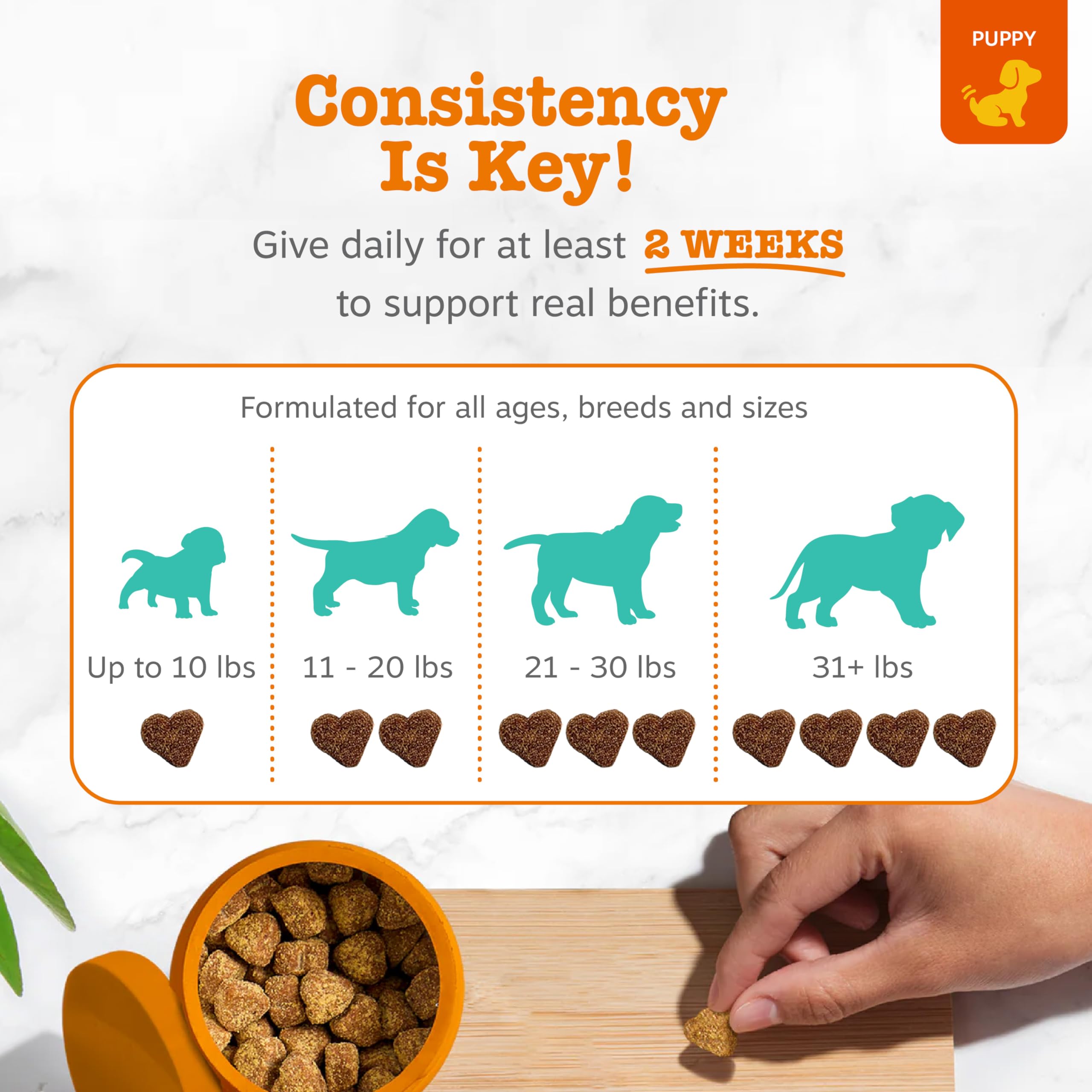 Zesty Paws Calming Chews – mélange relaxation avec valériane et tryptophane pour chiots