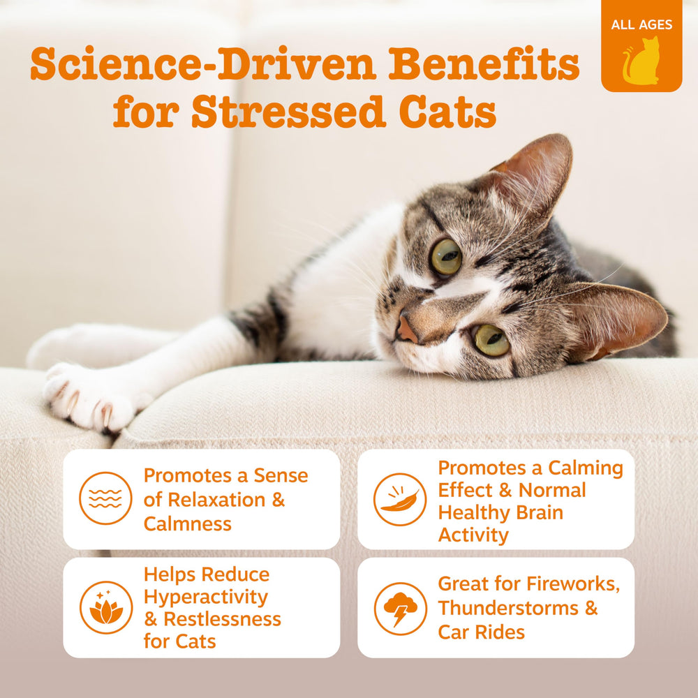 Texture mousse Zesty Paws pour chats facilitant l'apaisement lors des trajets.