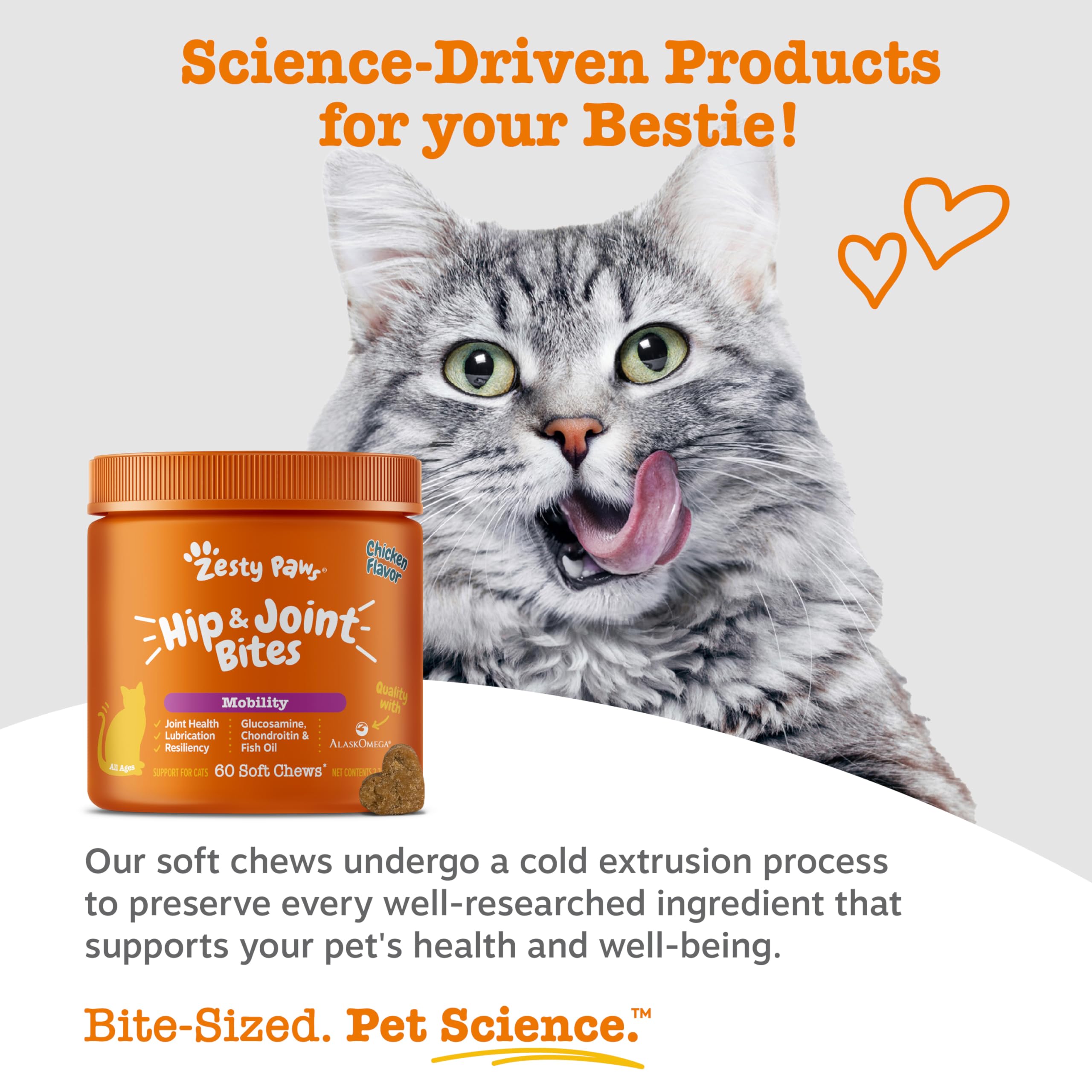 Administration simple — bouchées Zesty Paws pour chat au quotidien