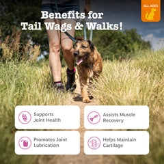 Comprimés hip et joint Zesty Paws texture croquante appréciée par les chiens