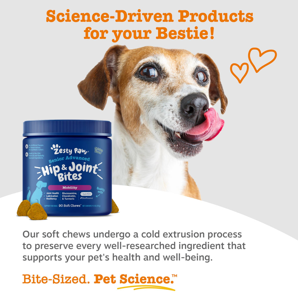 Confort et mouvement – friandises Zesty Paws pour chiens.