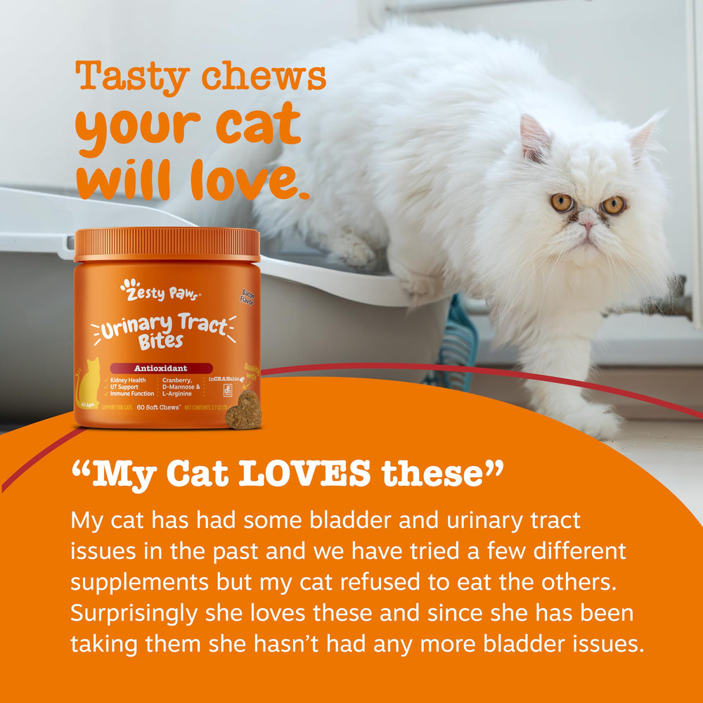 Zesty Paws Cranberry Bouchées urinaires pour chat – B6 et L‑Arginine