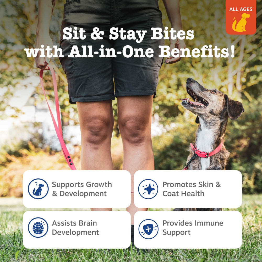 Zesty Paws Croquettes Entrainement Chien Petite Taille : faciles à mâcher et efficaces