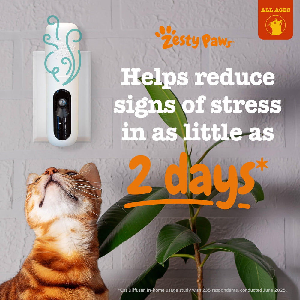 Diffuseur chat branché sur prise Zesty Paws, design discret.