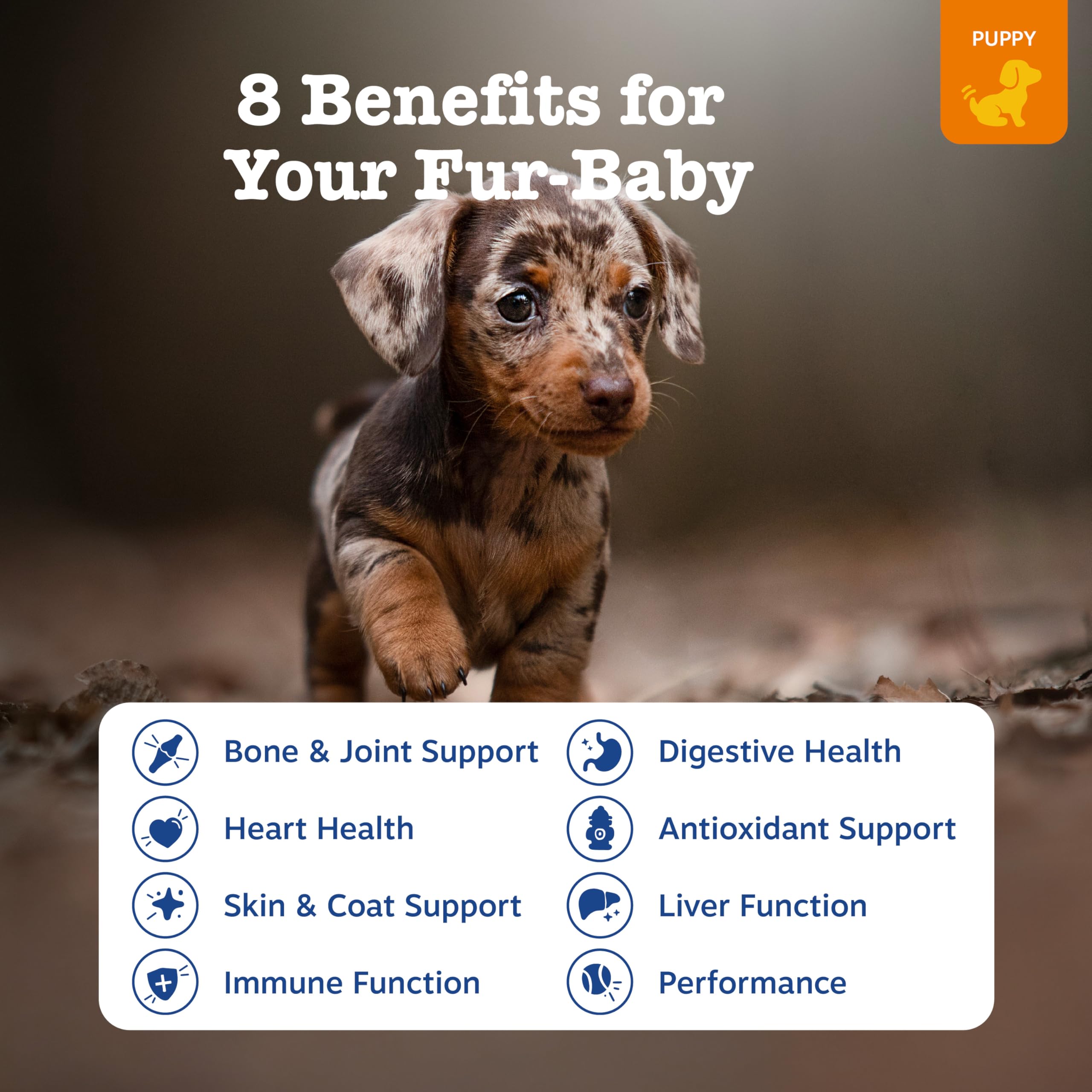 Zesty Paws Dog Multivitamin – bouchées faciles à mâcher pour chiens.