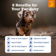 Zesty Paws Dog Multivitamin – bouchées faciles à mâcher pour chiens.