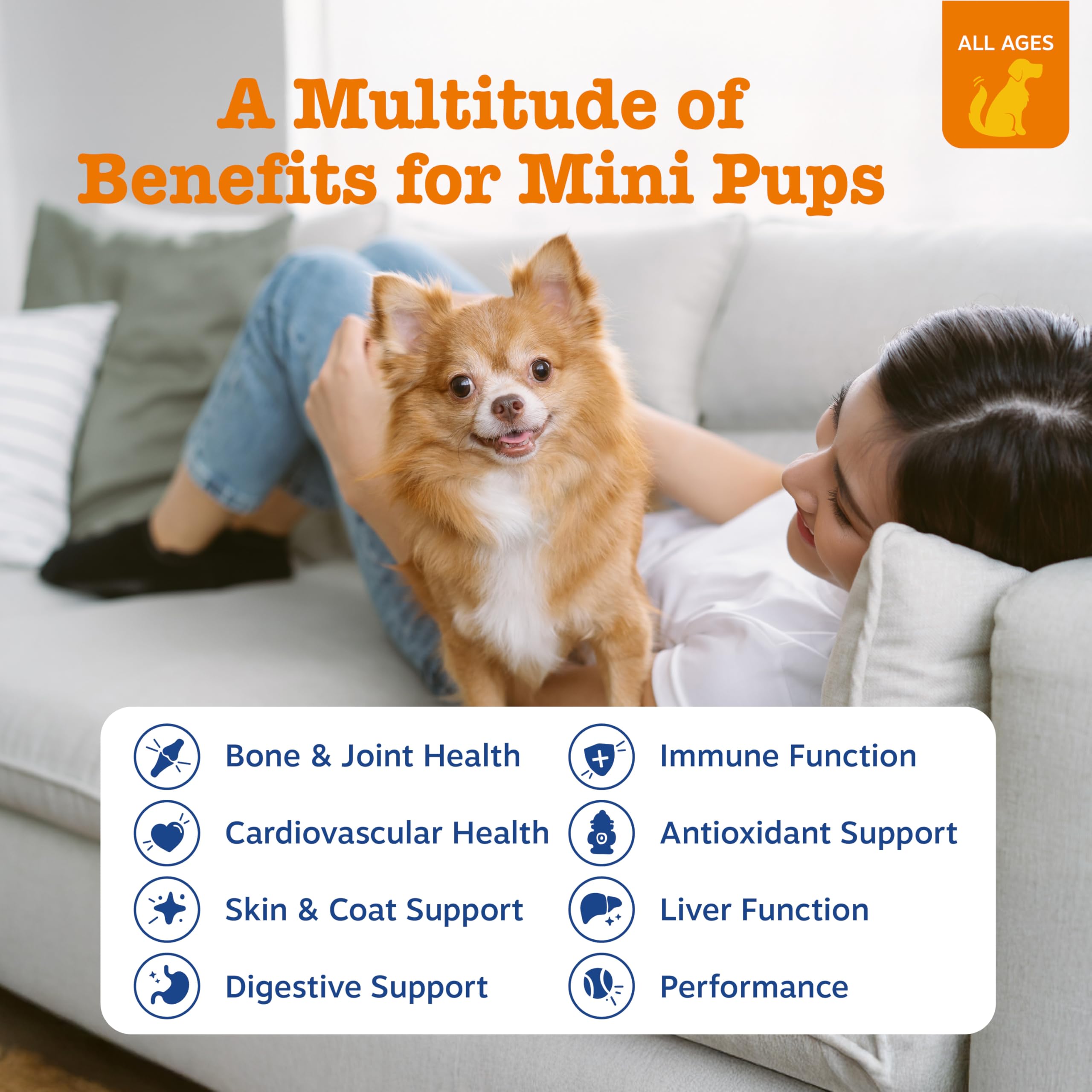 Zesty Paws Chien Multivitamin Bouchées – friandises appétentes pour soutenir mobilité.