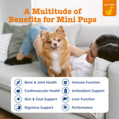 Zesty Paws Chien Multivitamin Bouchées – friandises appétentes pour soutenir mobilité.