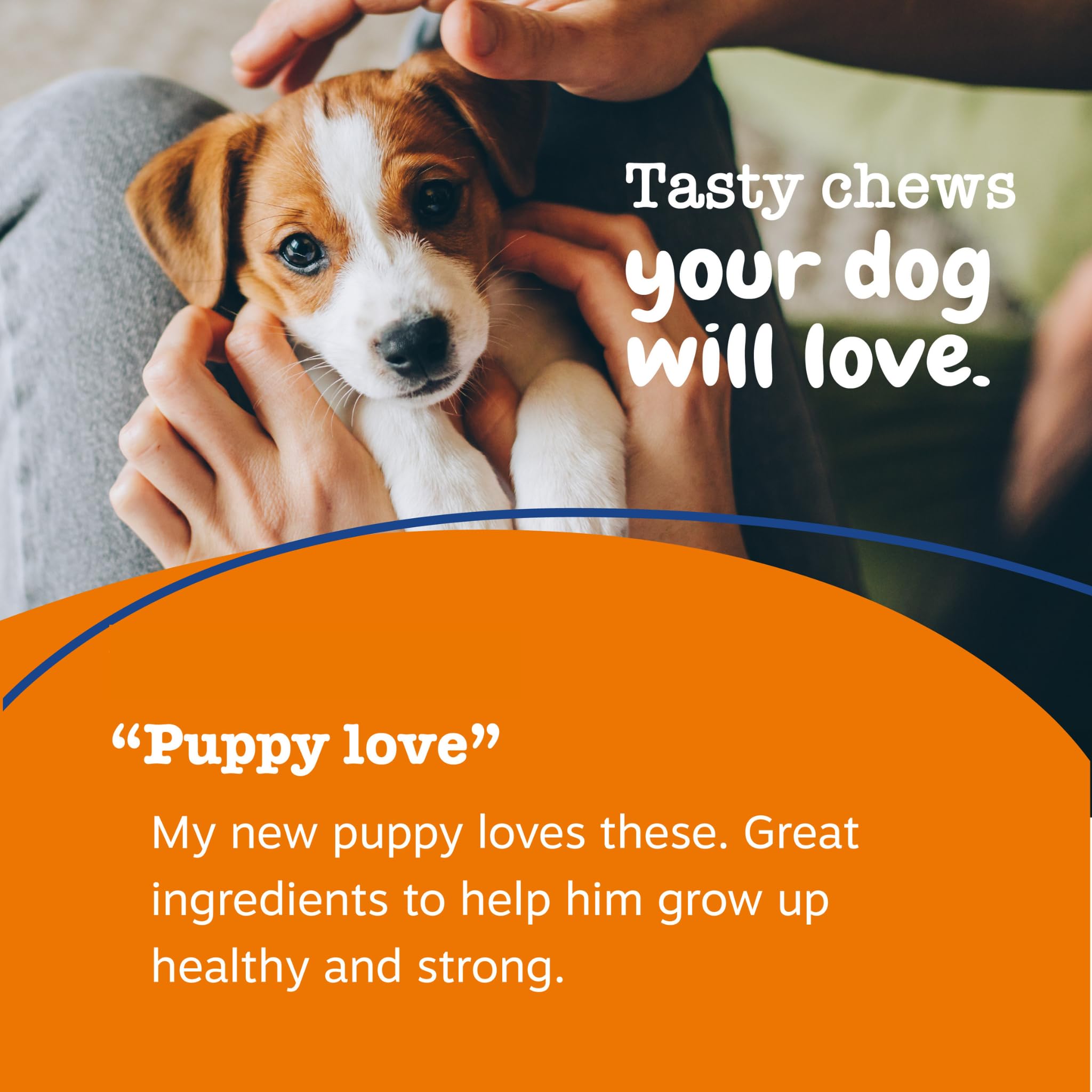 Zesty Paws multivitamines avec CoQ10 pour énergie et vitalité.