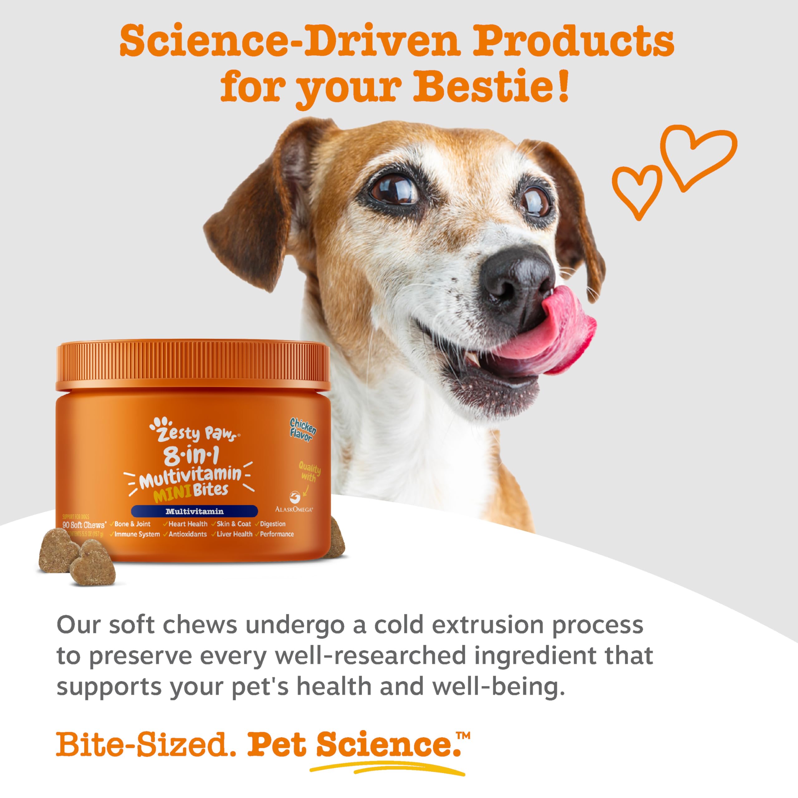 Zesty Paws Chien Digeste – flore intestinale et digestion équilibrée.