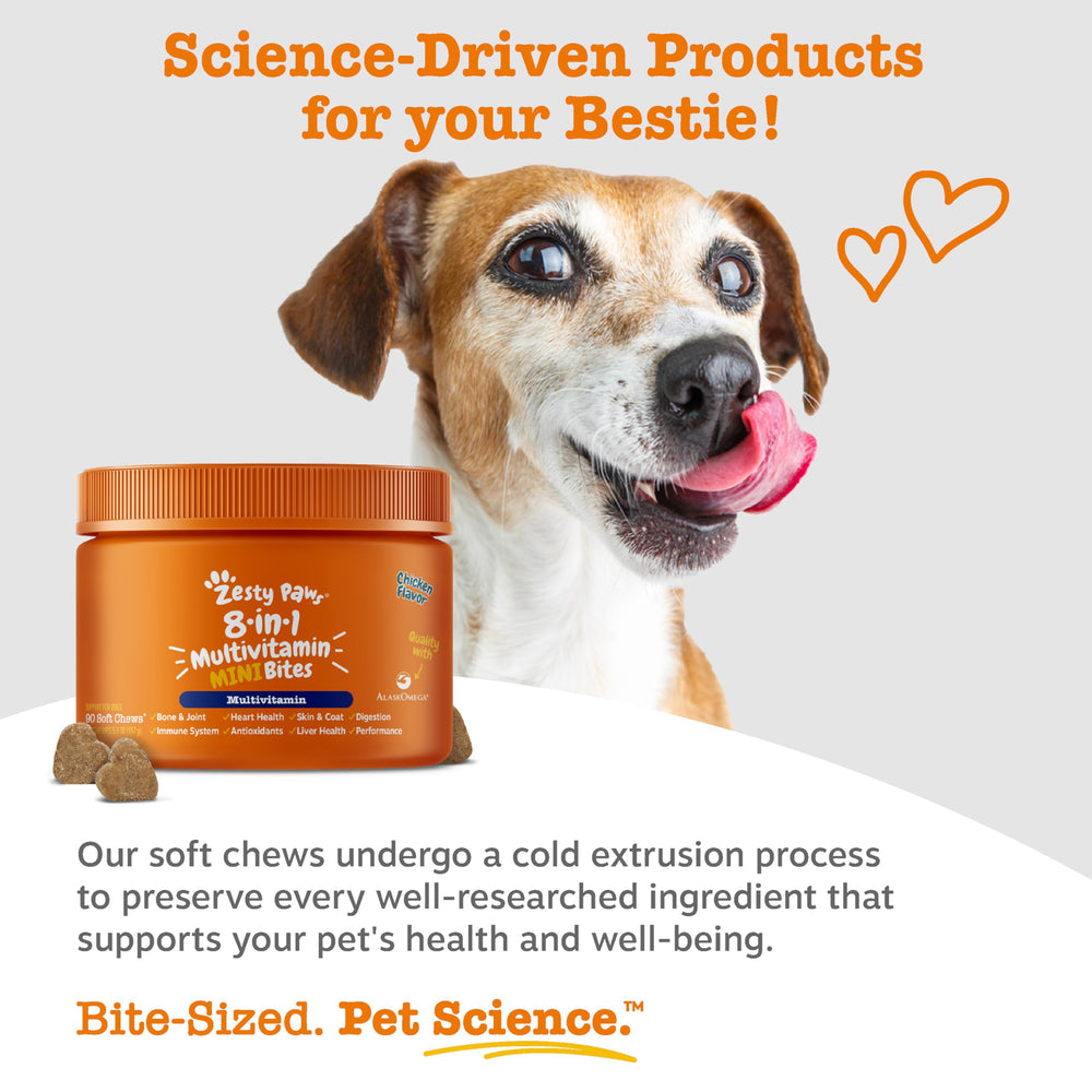 Zesty Paws Chien Digeste – flore intestinale et digestion équilibrée.