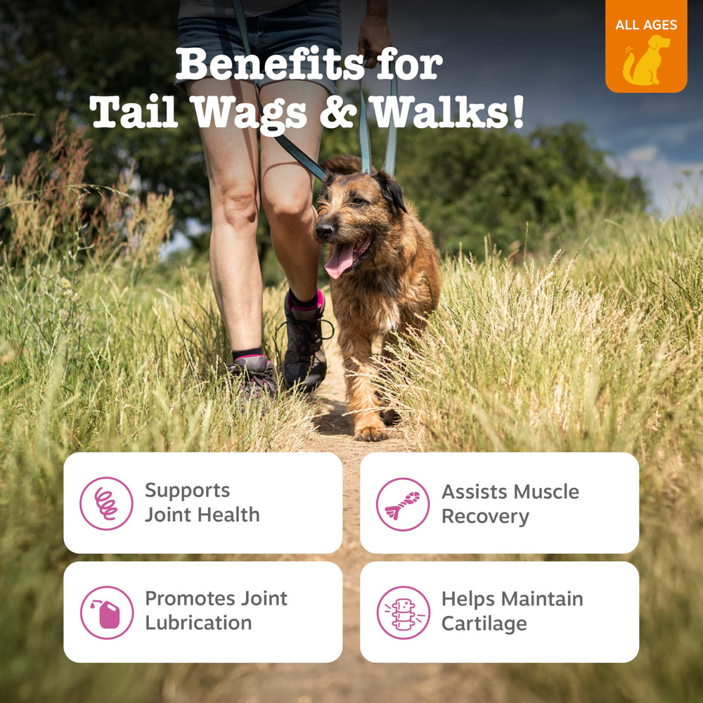 Zesty Paws friandises optimmsm flexibilité musculaire pour chien actif.