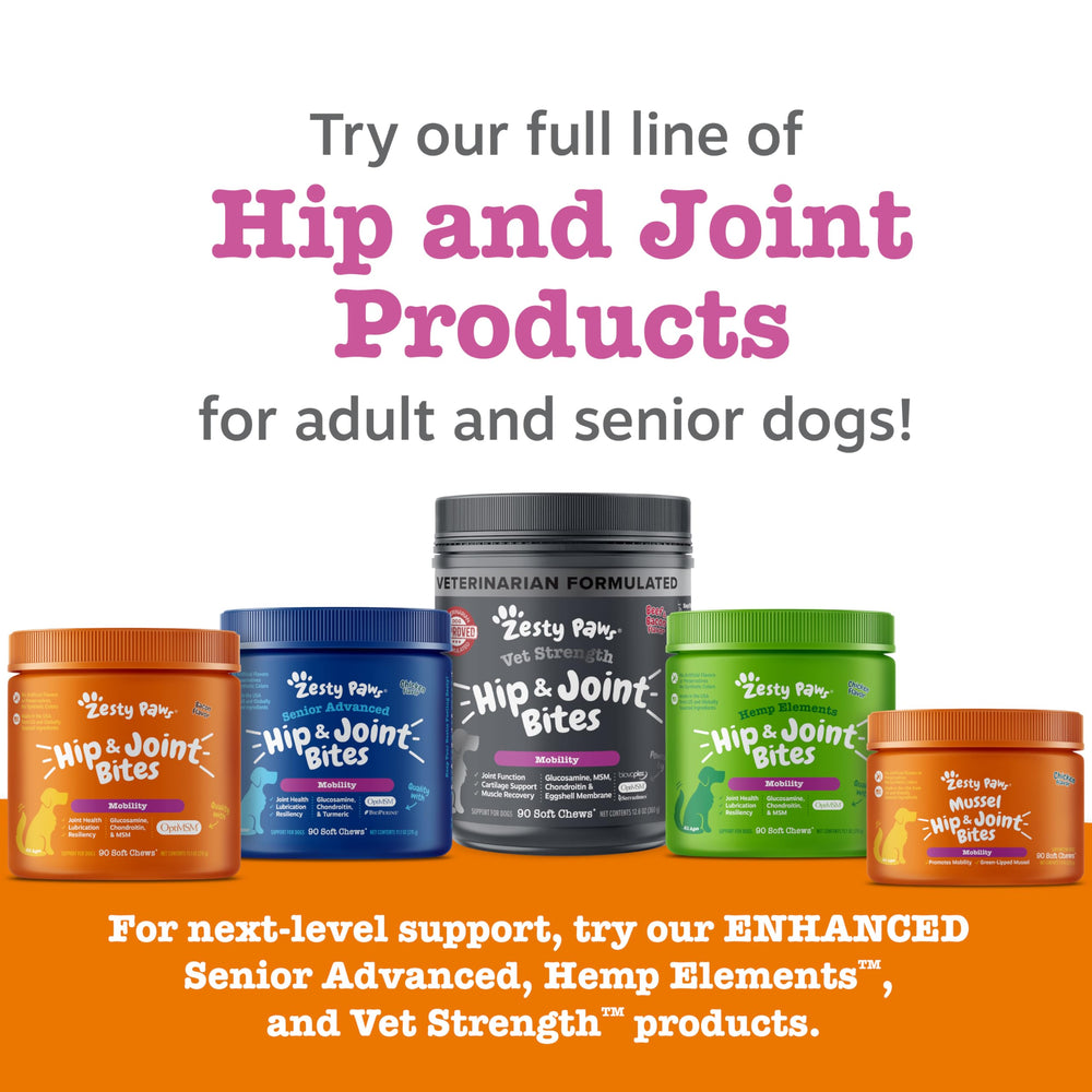 Zesty Paws friandises saveur bacon plaisir quotidien chien.