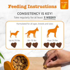 Zesty Paws friandises chondroïtine soutien cartilage et tissu conjonctif.