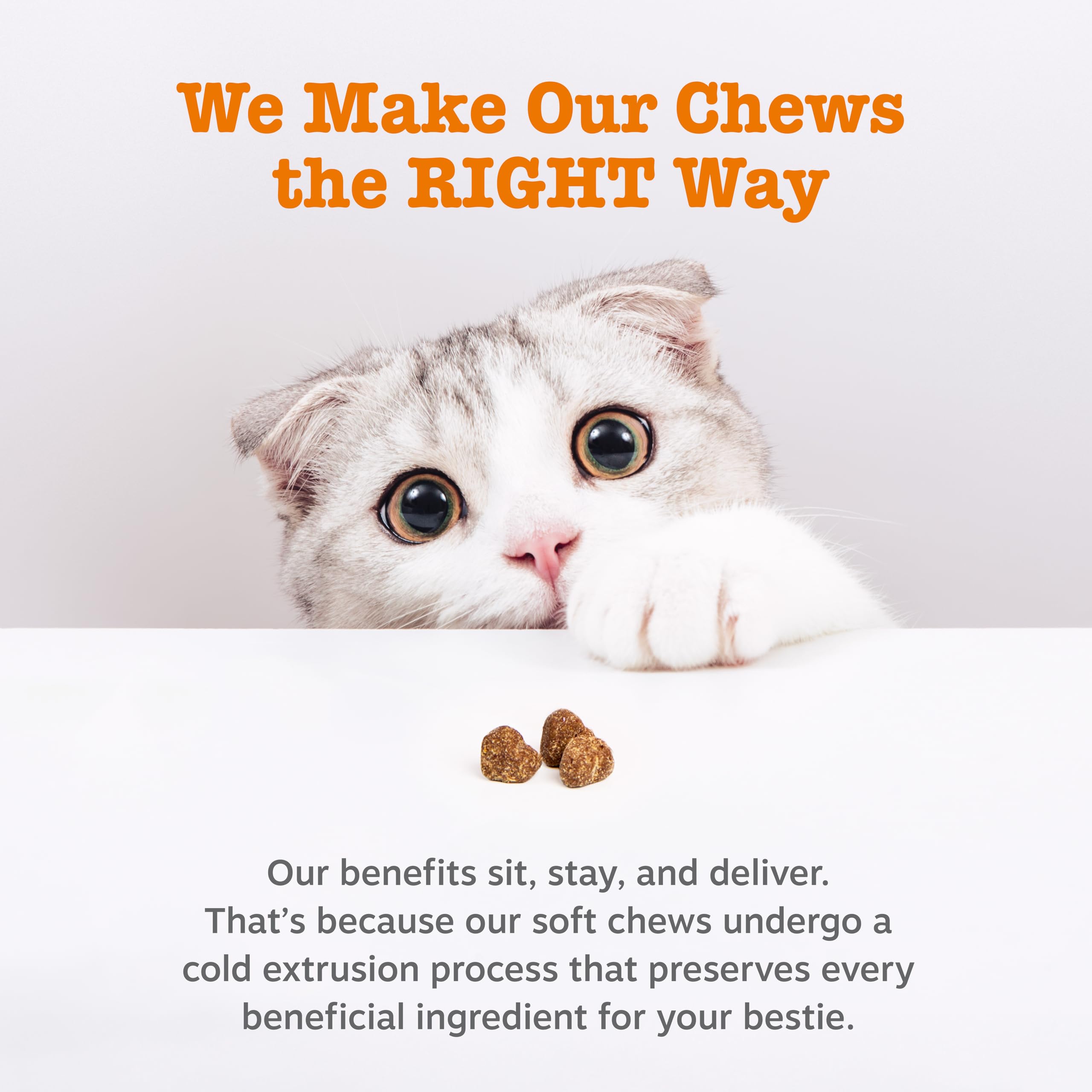 Zesty Paws Hairball Bites : saveur bacon qui attire votre chat