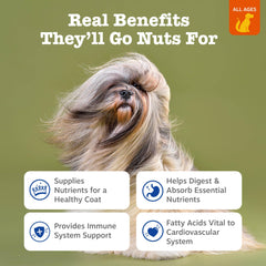 Huile coco Zesty Paws pour chien, application sur la peau, peau saine et pelage doux.