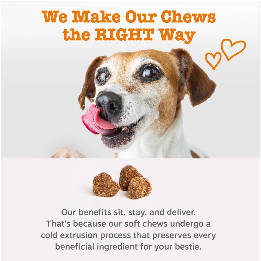 Zesty Paws huile foie morue — oméga-3 pour peau et pelage lumineux