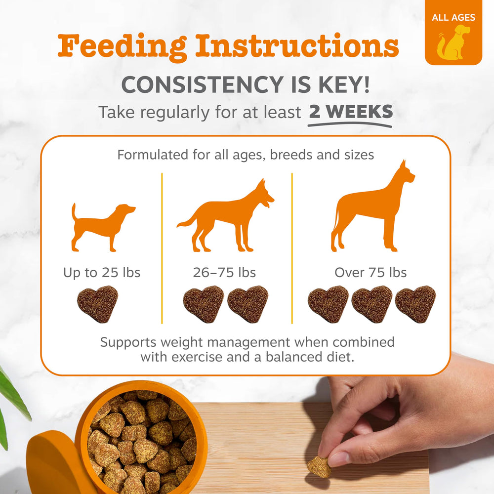 Ingrédients fibre INULIN pour le bien-être digestif du chien.