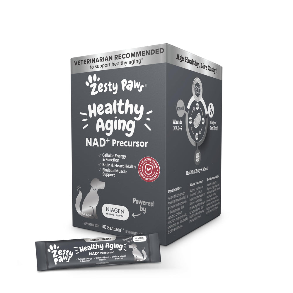 Zesty Paws NAD+ précurseur, sachet poudre pour chien, soutien potentiel énergie