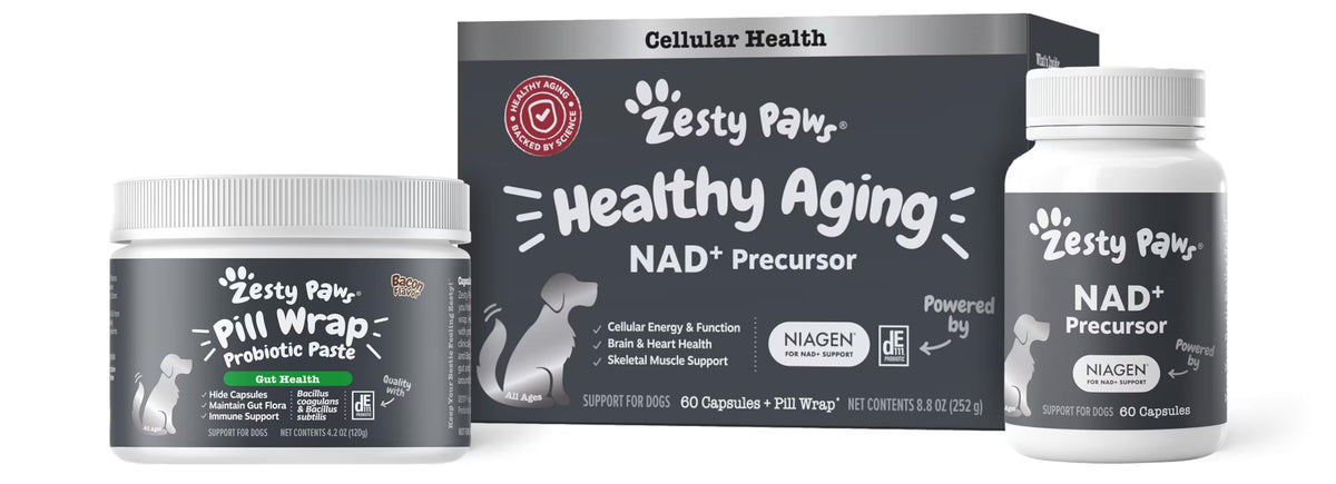 Capsules Zesty Paws NAD+ Précurseur pour chiens, administration facile et énergie soutenue.