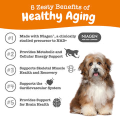 Étiquette Zesty Paws NAD+ Précurseur pour chiens, informations claires et traçabilité.