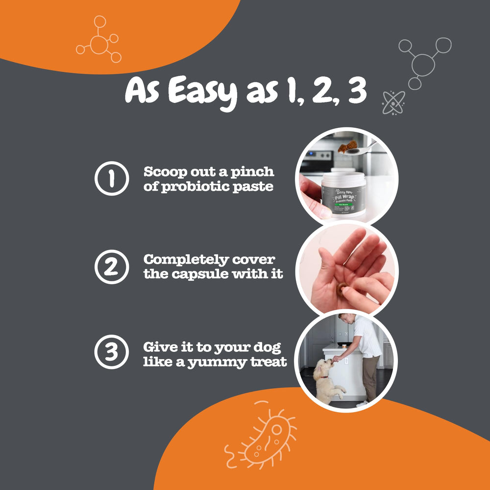 Métabolisme et énergie cellulaire optimisés pour chiens actifs avec Zesty Paws NAD+.