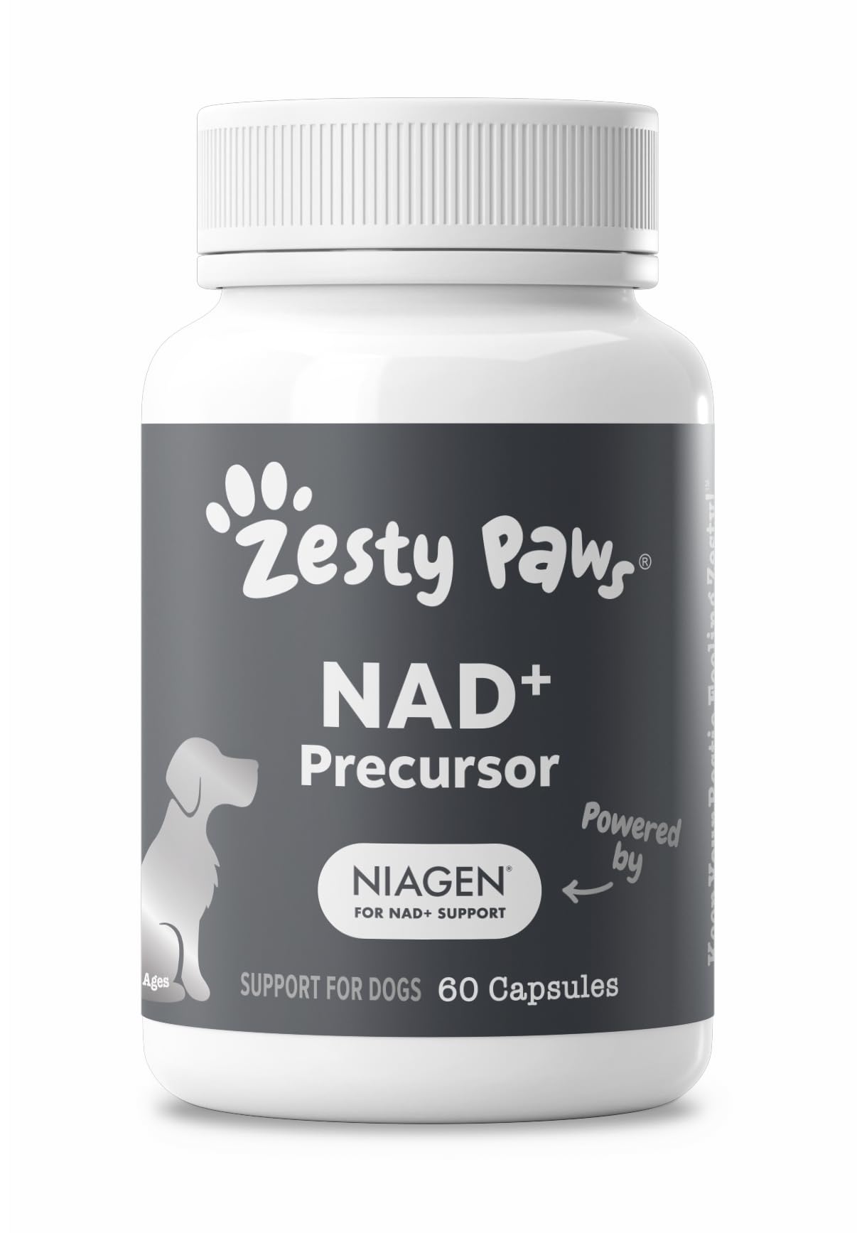 Vitalité et longévité du chien grâce au précurseur NAD+ de Zesty Paws.