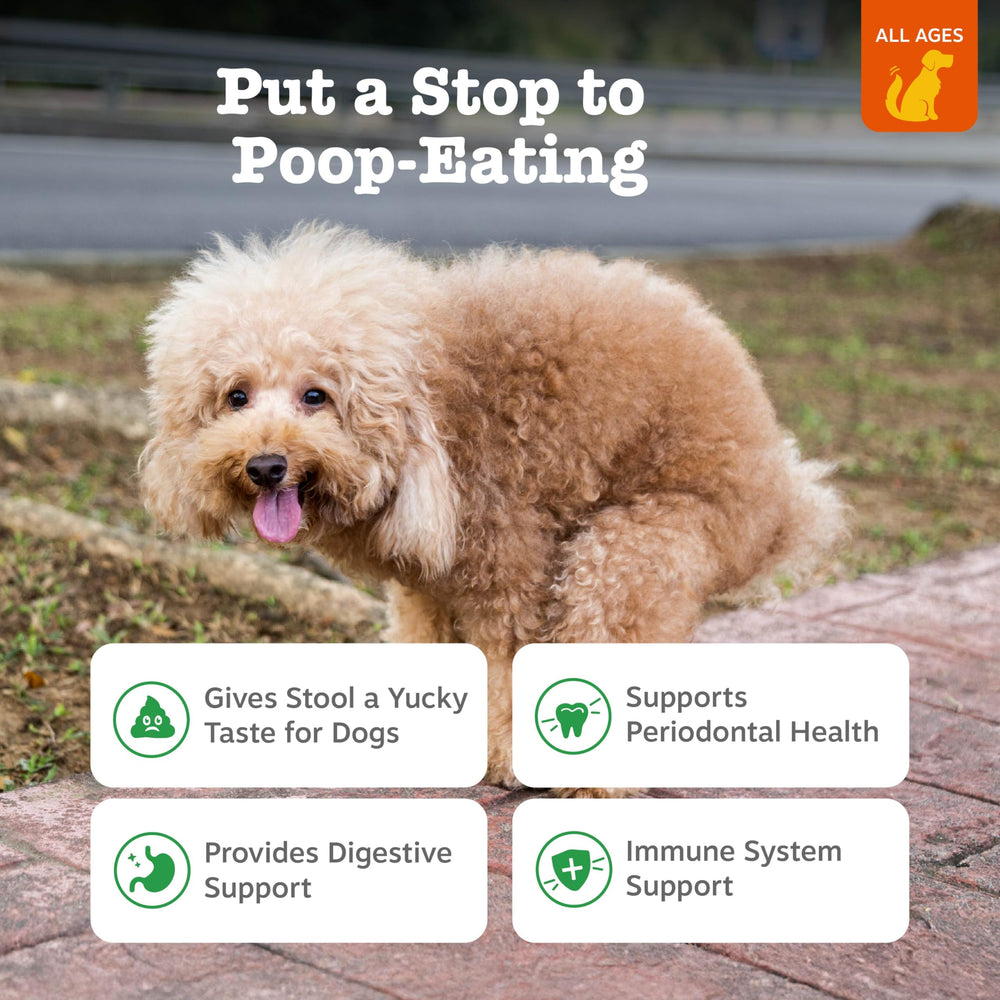 Zesty Paws No Poo Bites bouchées molles au poulet, texture douce et soutien digestif potentiel.