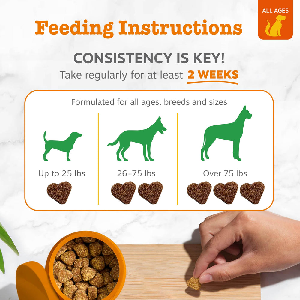 Zesty Paws No Poo Bites saveur poulet – appétence et complément digestif possible.