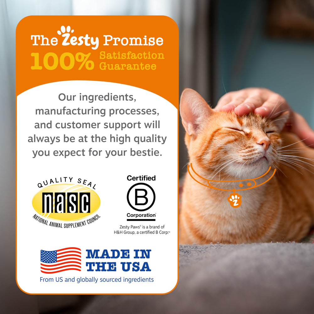 Ingrédients riches en oméga et vitamines pour le pelage avec Zesty Paws Mousse.