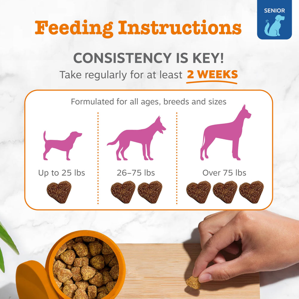 Palourde verte Nouvelle-Zélande – Zesty Paws pour chiens.