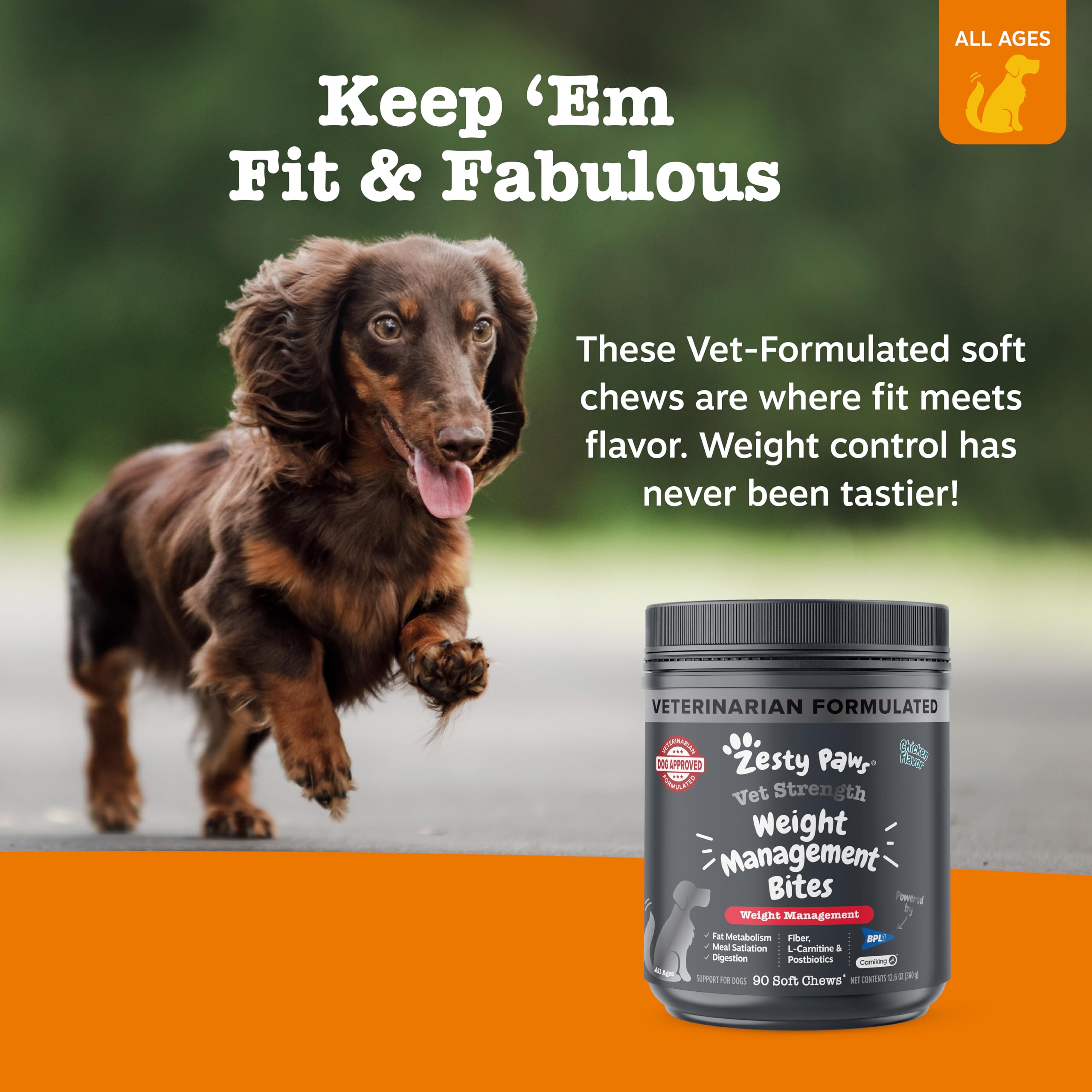 Postbiotique BPL1 favorisant l’équilibre intestinal chez le chien.