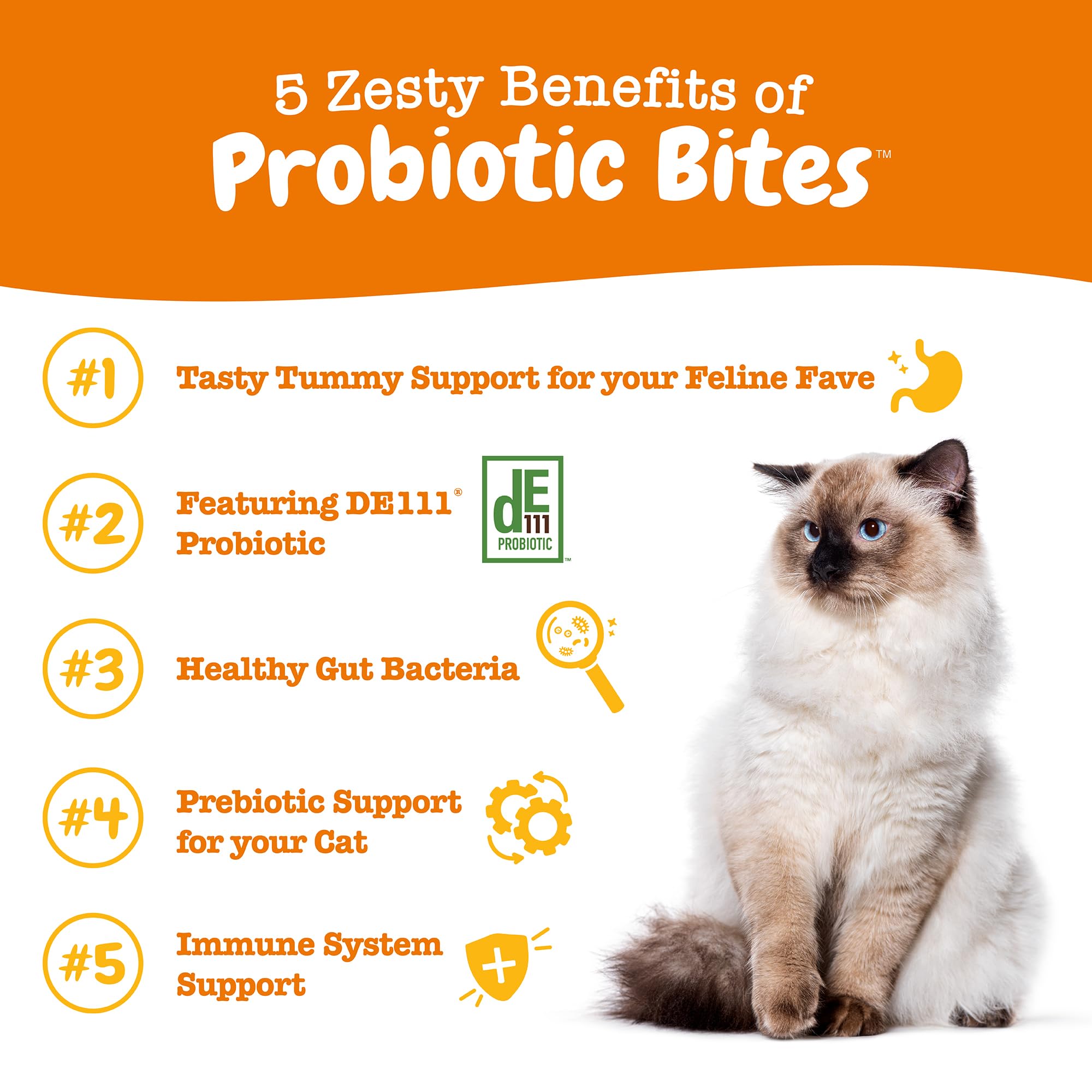Probiotic Bites pour chat – bouchées molles faciles à donner et très appréciées.