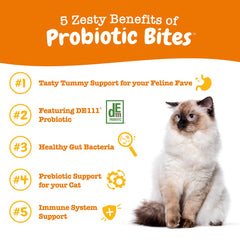Probiotic Bites pour chat – bouchées molles faciles à donner et très appréciées.